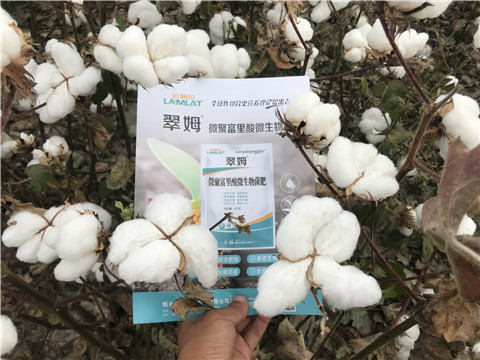 微生物菌劑，根碧多，拉姆拉