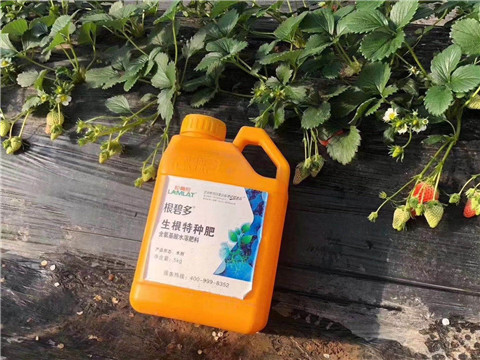 根碧多，微生物菌劑，拉姆拉