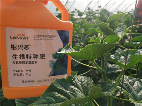 根碧多，磷酸二氫鉀，拉姆拉