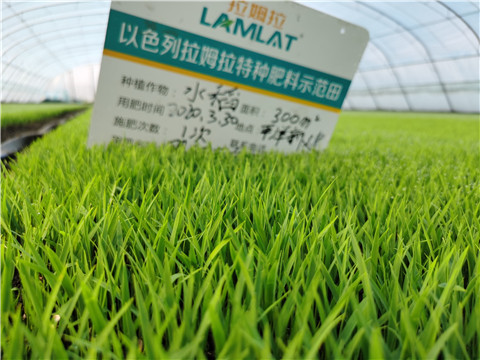 微生物菌劑，拉姆拉