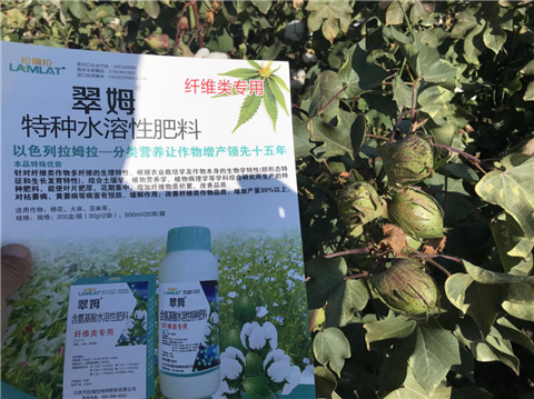 葉面肥，拉姆拉