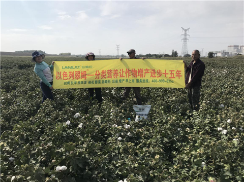 葉面肥，拉姆拉