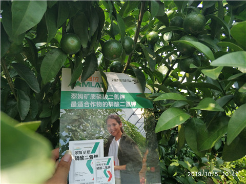 磷酸二氫鉀，拉姆拉