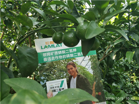 磷酸二氫鉀，拉姆拉