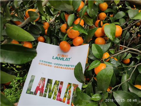 大量元素水溶肥，拉姆拉