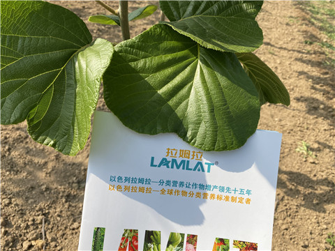 大量元素水溶肥，拉姆拉
