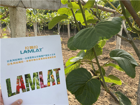 大量元素水溶肥，拉姆拉