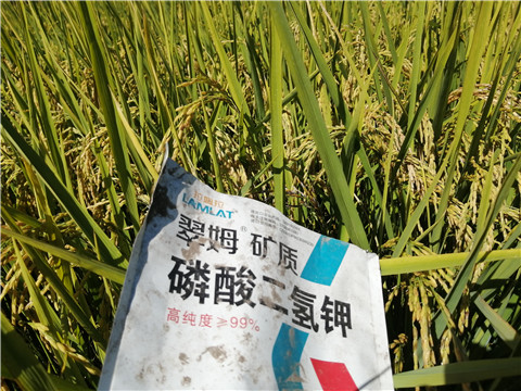 磷酸二氫鉀，翠姆，拉姆拉