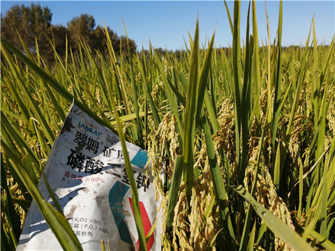 磷酸二氫鉀，翠姆，拉姆拉