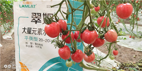 水溶肥，翠姆，拉姆拉