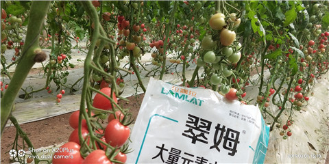 水溶肥，翠姆，拉姆拉