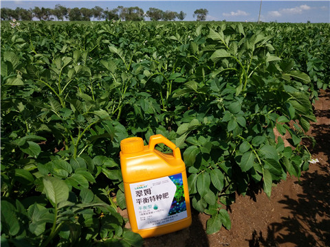 水溶肥，翠姆，拉姆拉