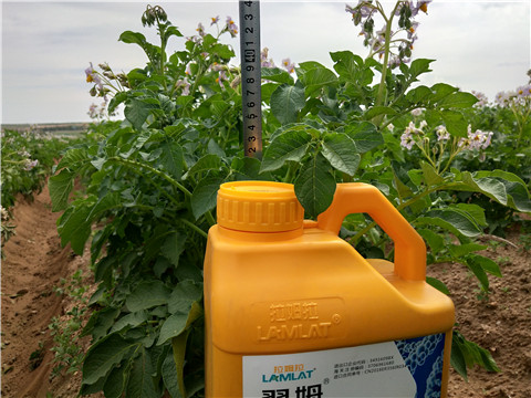 水溶肥，翠姆，拉姆拉