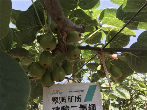 磷酸二氫鉀，拉姆拉