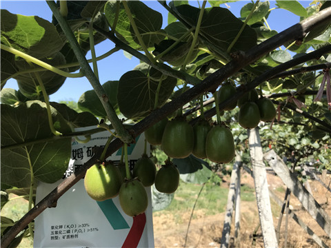 磷酸二氫鉀，拉姆拉