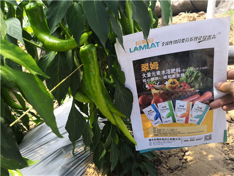 復(fù)合肥料，拉姆拉