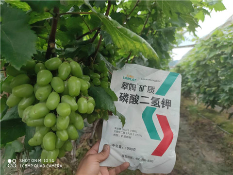 磷酸二氫鉀，拉姆拉