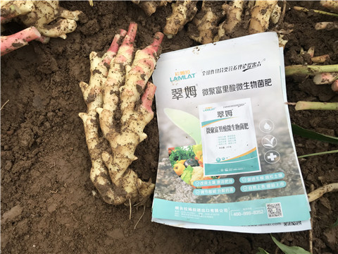 微生物菌劑，翠姆，拉姆拉