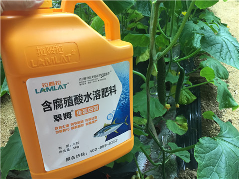 生根劑，魚蛋白水溶肥，拉姆拉