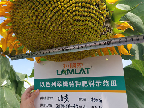 水溶肥，微生物菌劑，拉姆拉