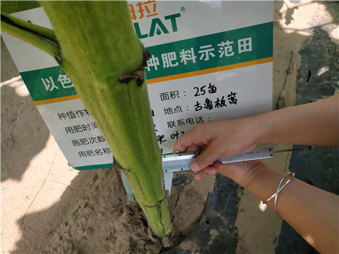 水溶肥，微生物菌劑，拉姆拉