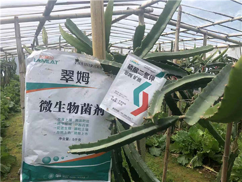 磷酸二氫鉀，翠姆，拉姆拉