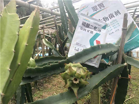 磷酸二氫鉀，翠姆，拉姆拉