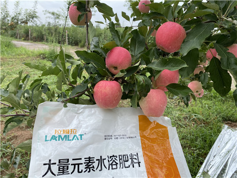 水溶肥，翠姆，拉姆拉