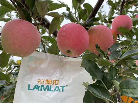 水溶肥，翠姆，拉姆拉