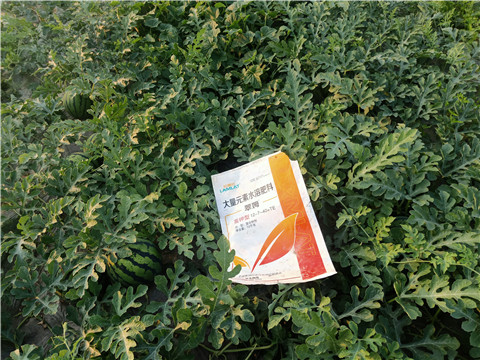 水溶肥，拉姆拉，翠姆