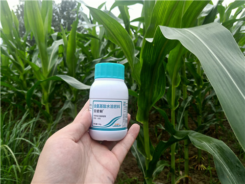 安碧解，拉姆拉