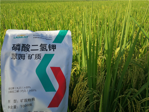 葉面肥，水稻灌漿肥，拉姆拉