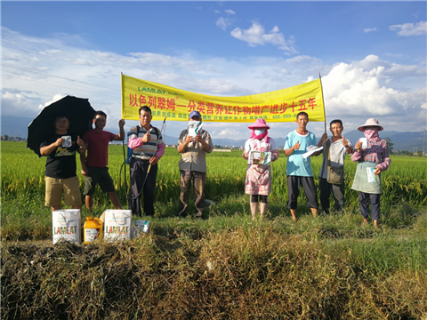 葉面肥，水稻灌漿肥，拉姆拉