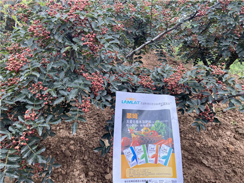 花椒種植，大量元素水溶肥，翠姆