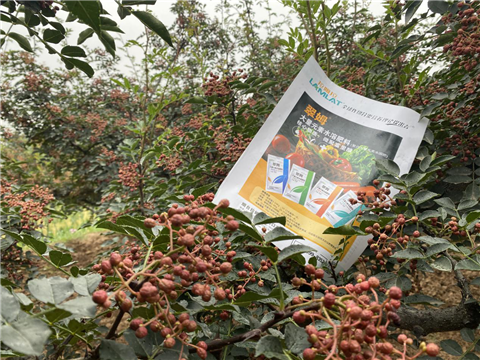 花椒種植，大量元素水溶肥，翠姆