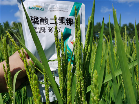 水溶肥，磷酸二氫鉀