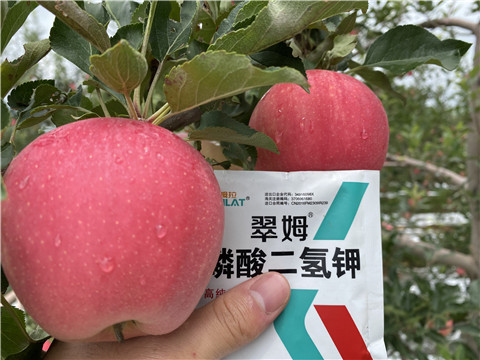 高鉀水溶肥，磷酸二氫鉀，拉姆拉，翠姆