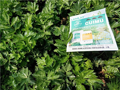 高鉀水溶肥，磷酸二氫鉀，拉姆拉，翠姆