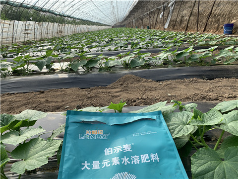 水溶肥，拉姆拉