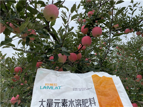 進(jìn)口水溶肥品牌，拉姆拉，翠姆