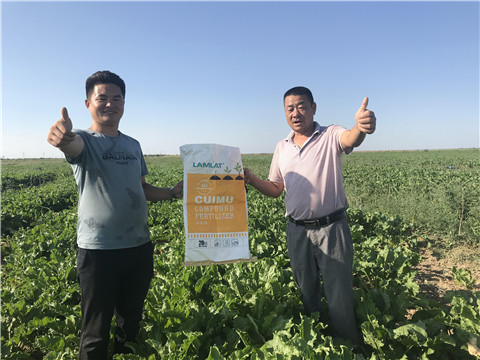 進(jìn)口水溶肥品牌，拉姆拉，翠姆