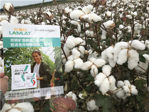 進(jìn)口水溶肥，翠姆，拉姆拉