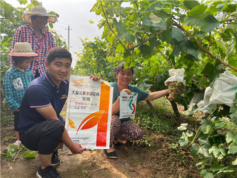 進(jìn)口水溶肥，拉姆拉