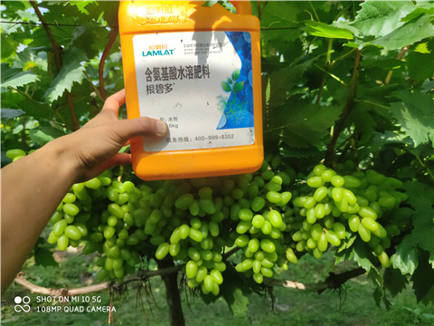 進(jìn)口水溶肥，拉姆拉