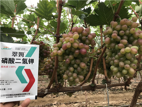 進(jìn)口水溶肥，拉姆拉