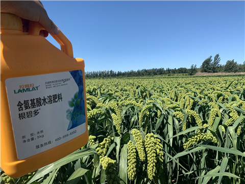 磷酸二氫鉀，拉姆拉，翠姆