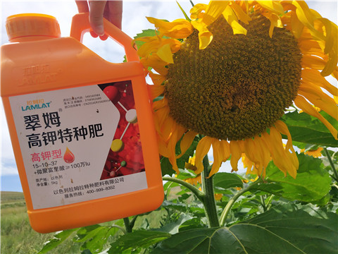 進口水溶肥，拉姆拉