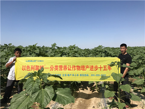 進口水溶肥，拉姆拉