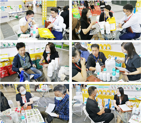 植保會，拉姆拉，翠姆