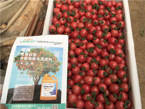 微生物菌劑，磷酸二氫鉀，翠姆，拉姆拉